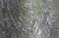 West Tilbury fibreglass roof work